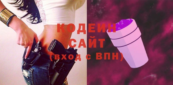 прущие грибы Вязьма