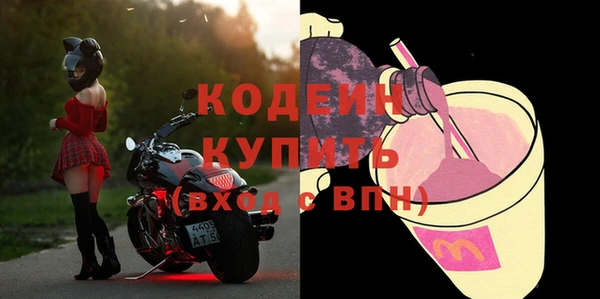 прущие грибы Вязьма