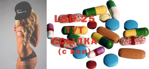 прущие грибы Вязьма
