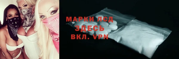 прущие грибы Вязьма