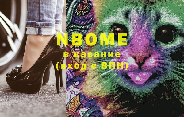 прущие грибы Вязьма