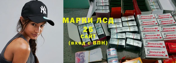 прущие грибы Вязьма